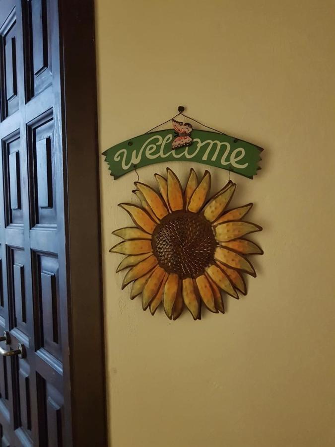 Ferienwohnung Il Girasole Storico Pitigliano Exterior foto